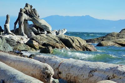 pacific landscape