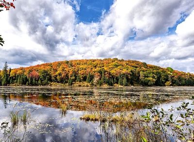 ontario landscape