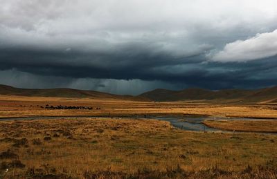 alberta Landscape